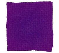 Dylon Teinture pour textile à utiliser dans la machine à laver Disponible en différentes couleurs 200 g Violet