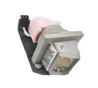 DYLPFYBY Lampe de projecteur BL-FP180E/SP.8EF01G.C01, 1 pièce, adaptée à OPTOMA DW531ST ES523ST EW533ST EX540 EX542 GT360 GT700 GT720 PRO180ST(CBH)