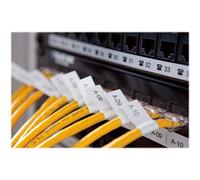 RhinoPRO Permanent Polyester - Polyester - adhésif permanent - noir sur blanc - Rouleau (2,4 cm x 5,5 m) 1 cassette(s) ruban - pour Rhino 4200, 6000;