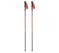Dynafit Bâtons Alpine