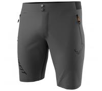 Dynafit Transalper Light Dynastretch Shorts Gris M Homme