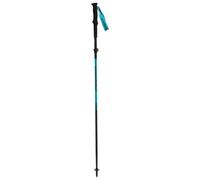 Bâtons Dynafit Ultra noir bleu (paire)
