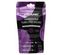 Dynamic Bike Care Bar Keeper Tubeless Valves Argenté 100 mm