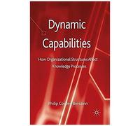 Dynamic Capabilities