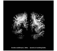Dynamics of Vanishing Bodies