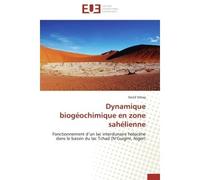 Dynamique biogéochimique en zone sahélienne Fonctionnement d'un lac interdunaire holocène dans le bassin du lac Tchad (N'Guigmi, Niger) - David Sebag - Universitaires Europeennes - broché - Livre