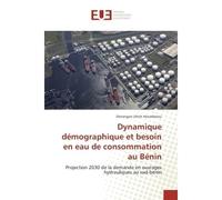 Dynamique démographique et besoin en eau de consommation au Bénin - Denangan Ulrich Houedenou - Universitaires Europeennes - broché - Essai