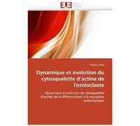 Dynamique Et Évolution Du Cytosquelette D'actine De L'ostéoclaste