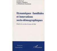 Dynamiques familiales et innovations socio-démographiques Etudes de cas dans les pays du Sud - Bénédicte Gastineau - L'harmattan - broché - Etude