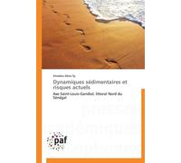 Dynamiques sédimentaires et risques actuels - SY-A - P.academiques Francophones - broché - Etude