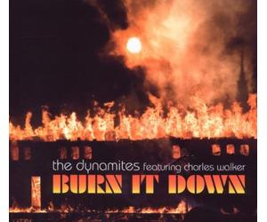 Dynamites - Burn It Down [Import]