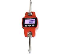 Dynamomètre professionnel numérique 300KG/100g avec affichage LCD