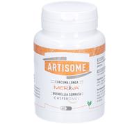 Dynarop Artisome Comprimé(S) 60 pc(s)