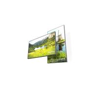 DynaScan DS653LT5-2 Écran haute luminosité de 65 pouces (4 000 nits) (sans Wi-Fi)