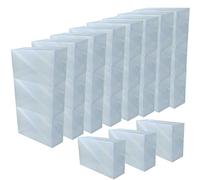 DynaSun 16164 30X PP368TC Lot de 30 boîtes range-chaussures unisexe Gain de place Transparentes