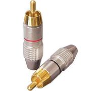 Dynavox 205093 Fiche RCA mâle jeu de 4