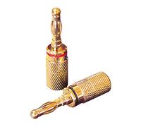 Dynavox Lot de 4 fiches Banane Rouge/Noir sous Blister