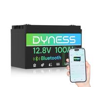 Dyness Batterie Lithium 12V 100 Ah Bluetooth LiFePO4 avec Protection 100A BMS, Batterie Lithium Camping-Car pour kit Panneau Solaire, Caravane, Alimentation de Secours