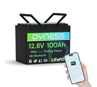 Dyness Batterie Lithium 12V 100 Ah Mini Bluetooth LiFePO4 avec Protection 100A BMS, Batterie Lithium Camping-Car pour kit Panneau Solaire, Caravane, Bateau, Marine