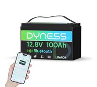 Dyness Batterie Lithium 12V 100Ah Bluetooth - Batterie LiFePO4 avec BMS 100A pour Camping-Car, Van, Bateau et Système Solaire - Accumulateur Deep Cycle