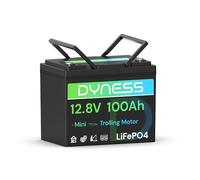 Dyness Batterie Lithium 12V 100Ah LiFePO4 Mini avec Protection 100A BMS Basse température et Max 15000 Cycles, pour Camping Car, kit Panneau Solaire, Caravane, Bateau, Marine