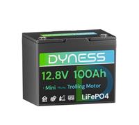 Dyness Batterie Lithium 12V 100Ah Mini LiFePO4 pour Camping Car avec BMS 100A, Protection Basse Température, Etanche Batterie pour Moteur Electrique Bateau, Autocaravane, Systèmes Solaires, Marine