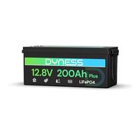 Dyness Batterie Lithium 12V 200Ah LiFePO4 avec BMS 200A intégré et Protection Basse Température, 2560Wh pour Camping-Car/Marin à Décharge Profonde, Solaire, Aventure/Van, Hors-Réseau