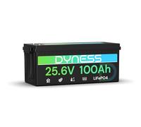 Dyness Batterie Lithium LiFePO4 24V 100Ah avec BMS intégré 100A et Protection Basses Températures, Batterie Lithium à Décharge Lente pour Camping Car, Panneau Solaire, Bateaux, Hors-Réseau