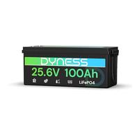 Dyness Batterie Lithium LiFePO4 24V 100Ah avec BMS intégré 100A et Protection Basses Températures, Batterie Lithium à Décharge Lente pour Camping Car, Panneau Solaire, Bateaux Bass, Hors-Réseau