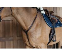 Dy'on Harnais avec Pont Tressé, Marron, pour Sang Chaud - 1 pcs