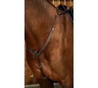 Dy'on Working by Dyon - Harnaois avec Pont, Pur Sang - Marron