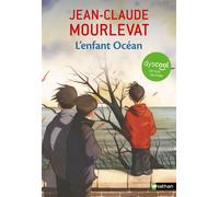 Dyscool - L'enfant Océan - Jean-Claude Mourlevat - Nathan - broché - Roman junior