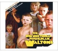 Dysfunctional Psychedelic Waltols - All Over My Face