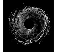 Dysnomia by DAWN OF MIDI [VINYL] NEUF