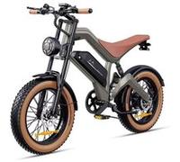 DYU M20 Fat Tire Electric Bike