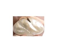 DYYEUAVT Pochette ovale en forme de coquille d'œuf avec perles beiges, sac à main for femme, idéal for une soirée, un mariage ou une plage.(Blue)