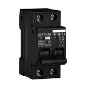 DZ47HK DC1000V 2P Mini Disjoncteur Solaire PV DC, Interrupteur De Déconnexion Photovoltaïque MCB, Protection Contre Les Surcharges Et Courts-circuits Courbe C, Montage Sur Rail DIN, 10A-120A(50A)