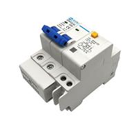 DZ47LE-63 interrupteur d'air domestique disjoncteur Miniature interrupteur 2P avec protection contre les fuites porte principale triphasée commutateur d'air (Color : 16a, Size : 2P)