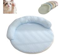 DzaiCrkwd Breeze Bed for Cats, Ice Silk Breeze Bed, Machine Washable, Cushion Sleeping Beds for Cats Puppy Kitten Prevent Overheating for Pets (19.68inch) (Light Blue)