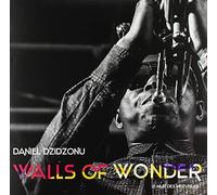Dzidzonu, Daniel - Walls of Wonder
