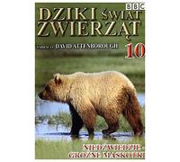 Dziki Ĺwiat ZwierzÄt 10: NiedĹşwiedzie - GroĹşne Maskotki (BBC) [DVD] (Pas de version française)