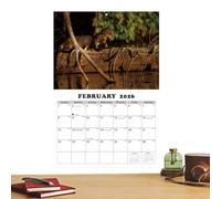 DzpKrka Agenda Mural | Agenda Thème Animal,Calendrier à Accrocher avec 12 Mois | pour Salon Chambre Bureau et Adultes