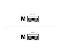 E Aruba Short Set - Câble réseau - RJ-45 (M) pour RJ-45 (M) - 10 cm (pack de 10)