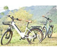 E Bike Damen 26 Zoll Elektrofahres City E-Bikes & E-Hollandräder mit 7-Gang Schaltung, 36V 16AH Abnehmbarer Akku, 65 km Reichweite, 50NM Motor Weiss