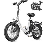 E Bike Hommes Femmes Vélos électriques-Ebike 48V 15.6Ah , E Bike 20 * 3.0 pouces, E-Bike 7-gang transmission écran LED, 250W moteur & 25km/h,Vélos pliants City