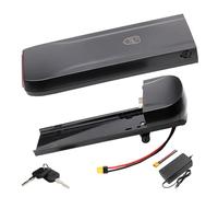 E-Bike Li-ION Akku 36V 21Ah für Phylion/XH370-10J (Joycube Wall-ES) geeignet für 36V 250W 350W 500W 750 800W Motoren, für Fahrräder FSaxonette SFM FischerProline Globe Adriatica geeignet