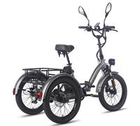 E-Bike Tricycle pour adultes 48V 21Ah batterie 115KM E Bike Hommes Femmes Arrière Triple frein, Vélos électriques 65N.m, Fat Ebike 20 Zol Gris 2025
