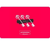 E-carte cadeau AVIGNON City Pass - 48 h