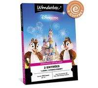 E-coffret Wonderbox Connect Disneyland Journée en duo 2 parcs Disney®