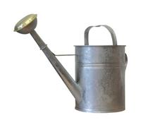 E/D/E Arrosoir 10L en tôle galvanisée Quantité:1